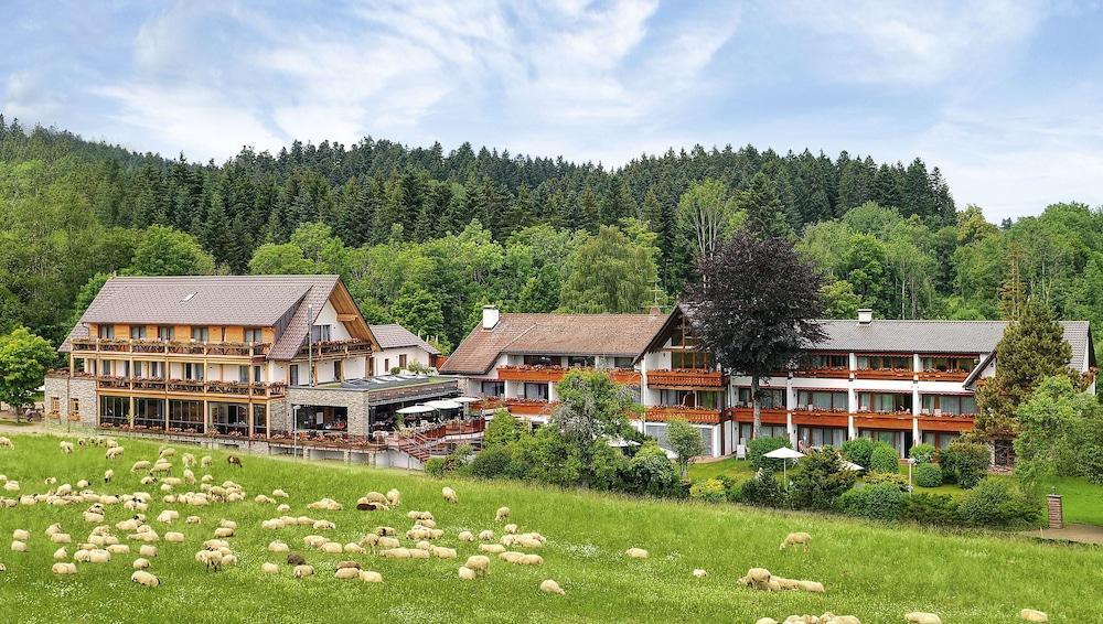 Hotel Gruener Wald Freudenstadt Luaran gambar
