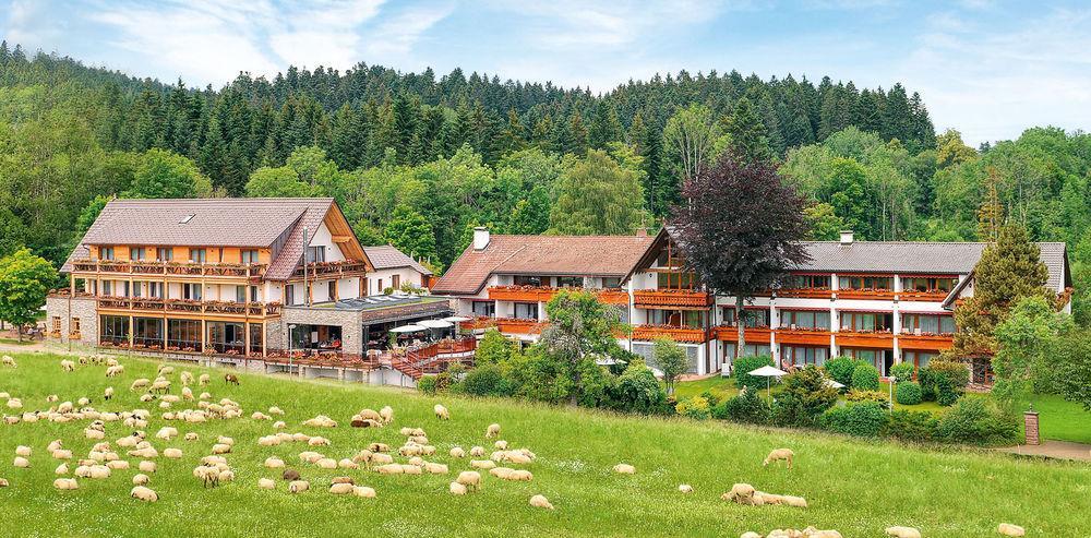 Hotel Gruener Wald Freudenstadt Luaran gambar