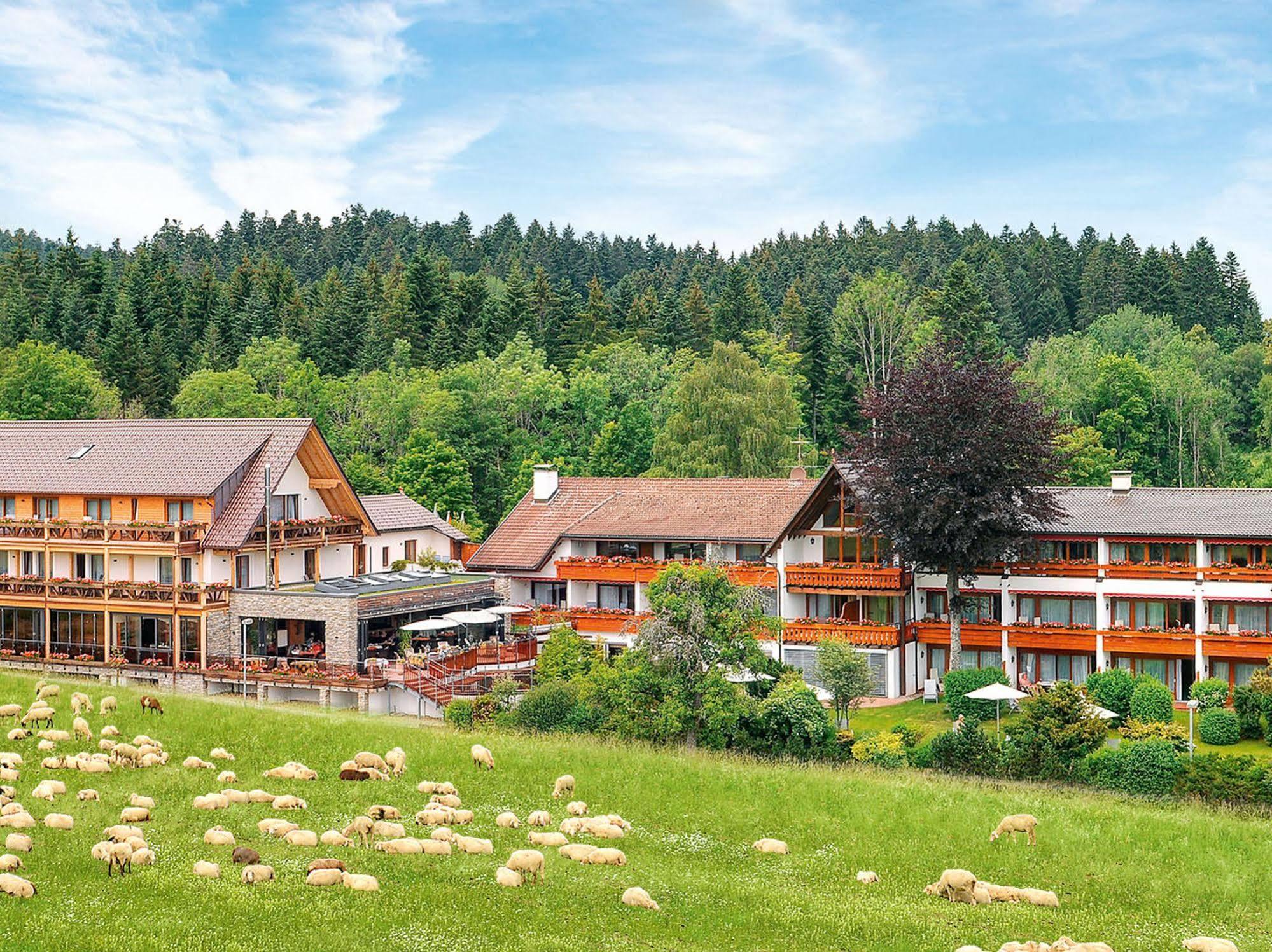 Hotel Gruener Wald Freudenstadt Luaran gambar